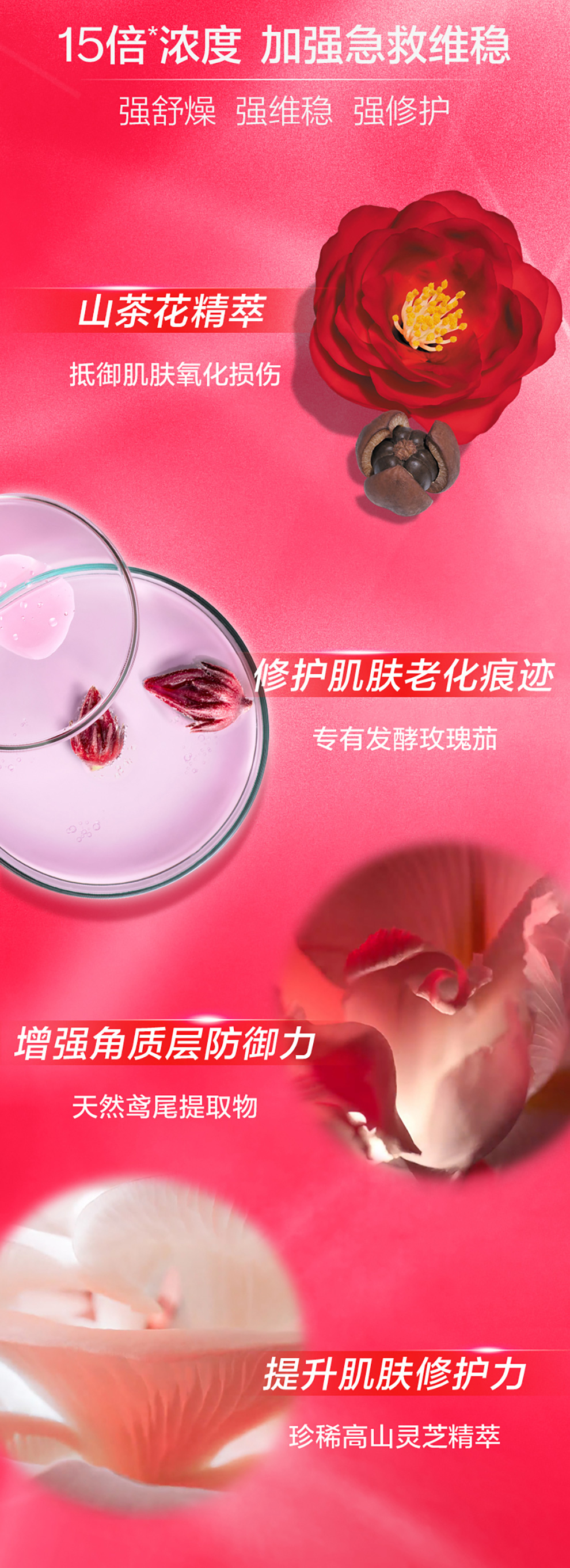 紅腰子